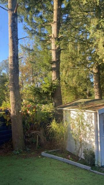 Boutique Chalet Veluwe Putten Zewnętrze zdjęcie